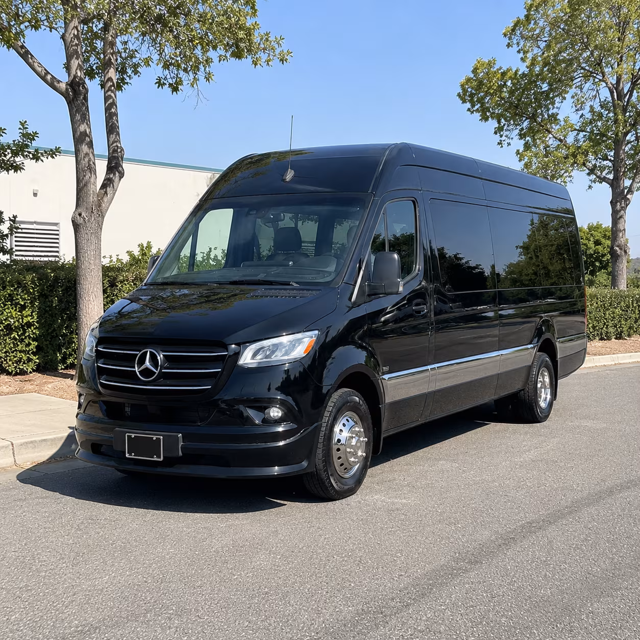 tallahassee sprinter van with driver